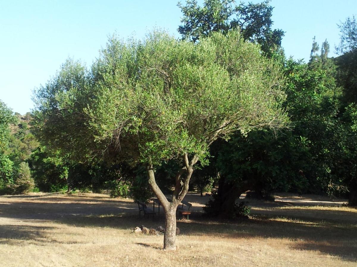La Casa Di Sara Villa Pula Kültér fotó