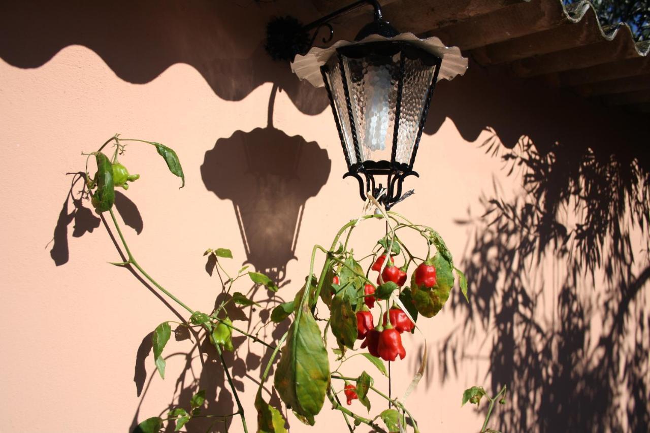 La Casa Di Sara Villa Pula Kültér fotó